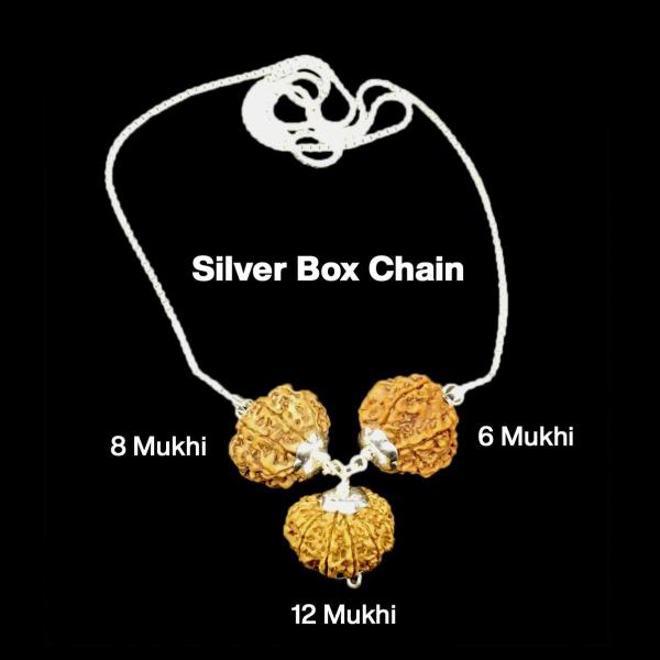 Rudraksha Combination for Business 6,8,12 Mukhi Nepal in Silver Chain