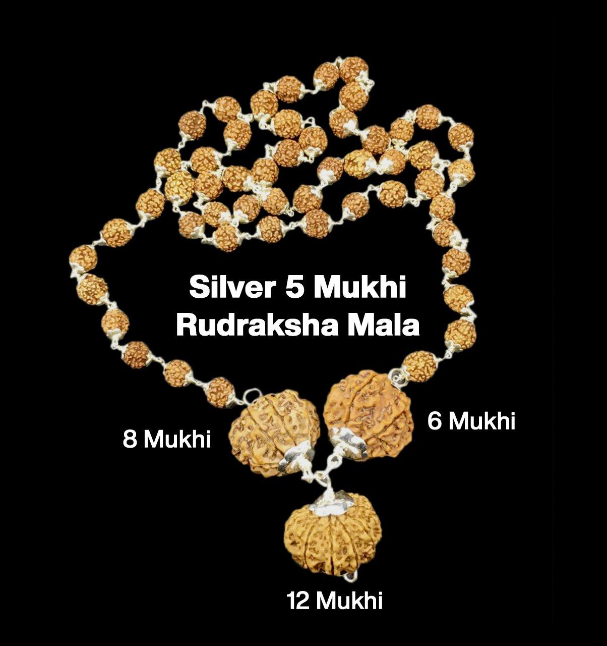 Rudraksha Combination for Business 6,8,12 Mukhi Nepal in Silver Mala