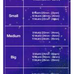 Rudraksha Combination for Total Protection 9,10,11 Mukhi Nepal in Silver Mala