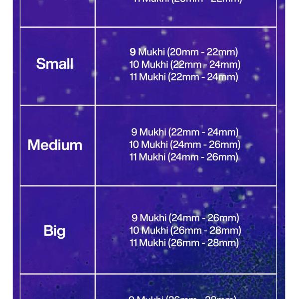Rudraksha Combination for Total Protection 9,10,11 Mukhi Nepal in Rudraksha Mala