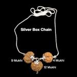 Rudraksha Combination for Doctors 4,9,12 Mukhi Nepal in Silver Chain