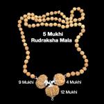 Rudraksha Combination for Doctors 4,9,12 Mukhi Nepal in Rudraksha Mala