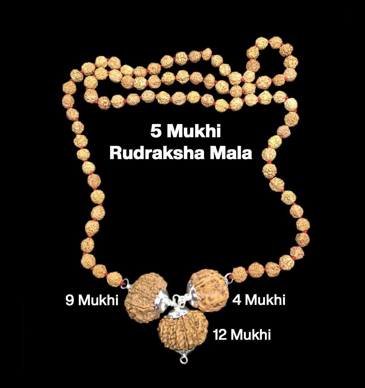 Rudraksha Combination for Doctors 4,9,12 Mukhi Nepal in Rudraksha Mala