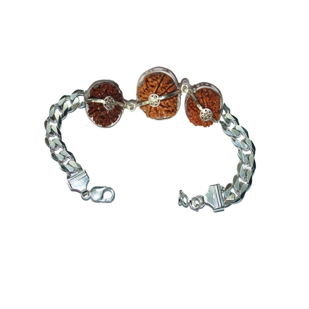 Rudraksha Combination for Business 6,8,15 Mukhi Nepal in Silver Bracelet