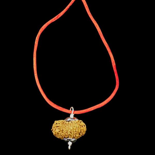 16 Mukhi Nepal Rudraksha In Pure Silver Pendant