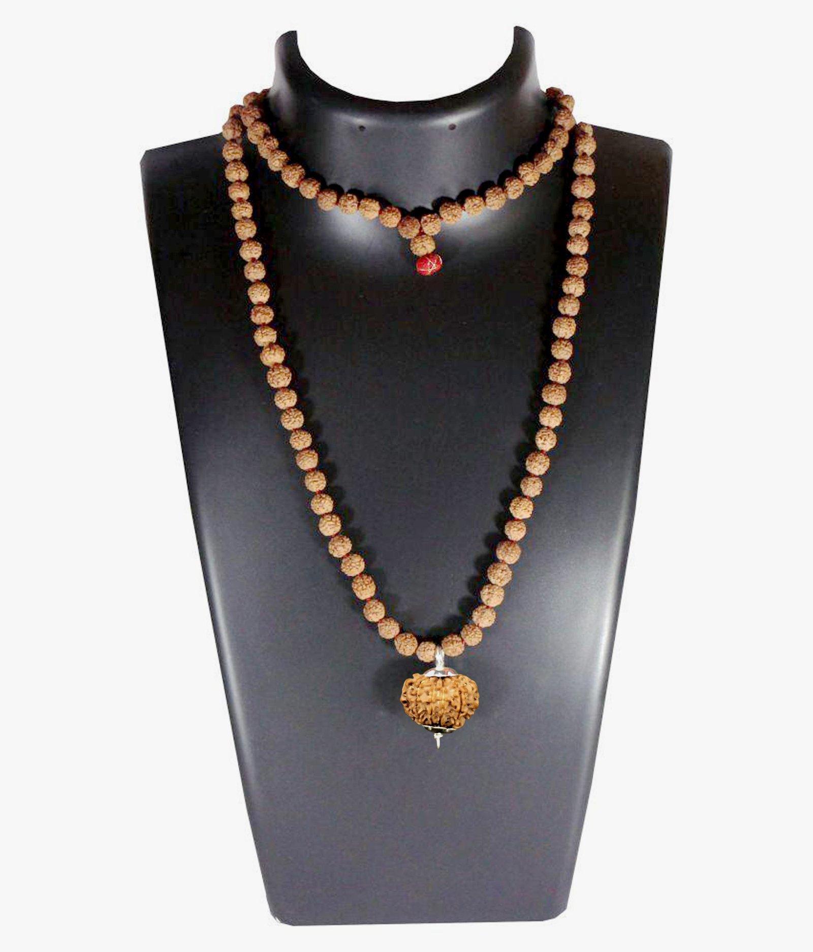 12 Mukhi Nepal Rudraksha Attached In Rudraksha Mala