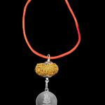 Mahamritunjaya Kavach 16 Mukhi Rudraksha With Silver Yantra