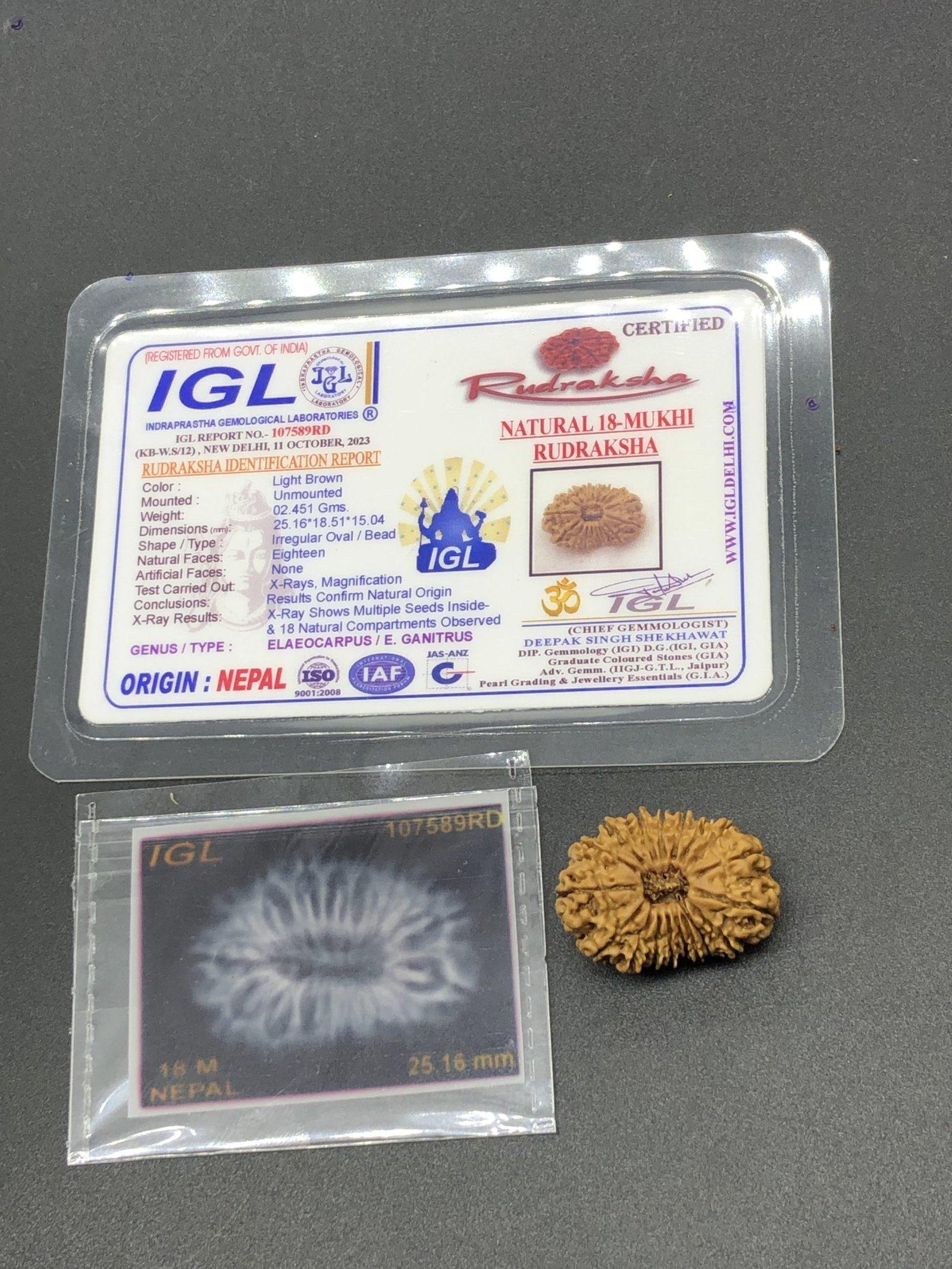 18 Mukhi Nepal Rudraksha Eighteen Face 25.16mm 2.45 GM