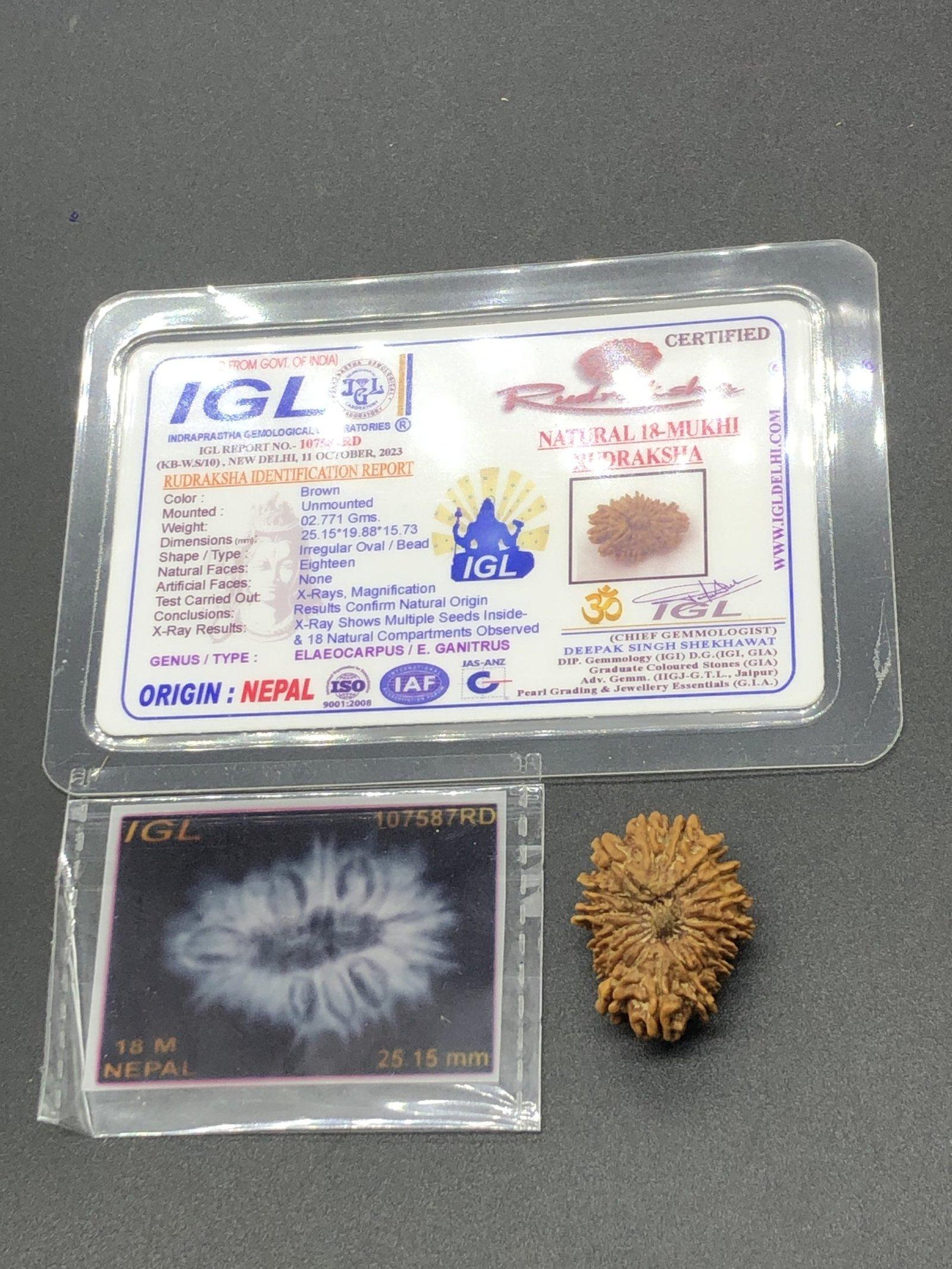 18 Mukhi Nepal Rudraksha Eighteen Face 25.15mm 2.77 GMS