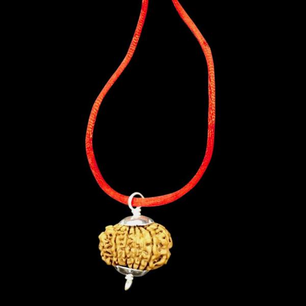 14 Mukhi Nepal Rudraksha In Pure Silver Pendant