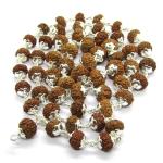 8 Mukhi Indonesian Rudraksha Mala 54 Beads In Silver (8mm-9mm)