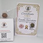 5 Mukhi Nepal Rudraksha Premium Quality